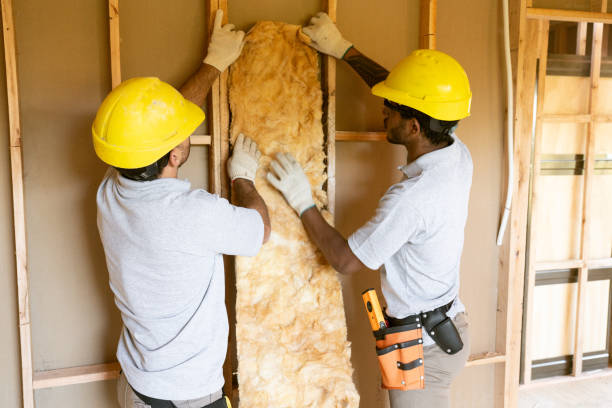 Best Insulation Air Sealing  in Clayton, NM